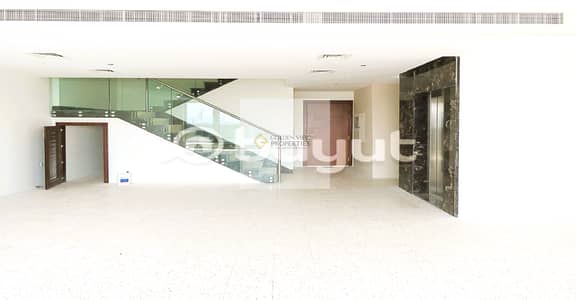 3 Bedroom Penthouse for Sale in Al Jaddaf, Dubai - BIG PENTHOUSE | MAIDROOM | 5-YR. PHPP