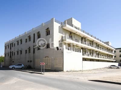 Labour Camp for Sale in Muhaisnah, Dubai - Spacious G+2 Labor Camp|175-Rooms|