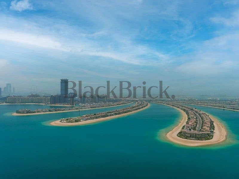 Panoramic Burj Al Arab View | Waterfront Living