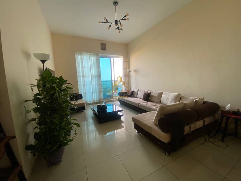 Super Cozy & Spacious  Fully Furnished One Bedroom Apartment