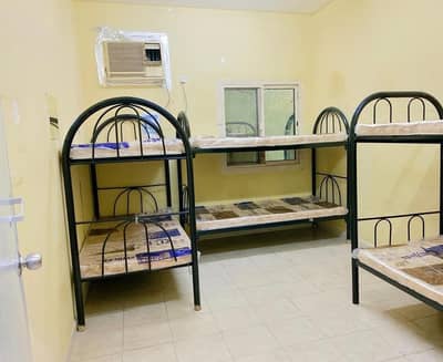 21 Bedroom Labour Camp for Rent in Al Quoz, Dubai - Best Price! AED 1800 I 8 People Capacity I