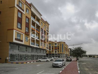 3 Bedroom Apartment for Rent in Al Mowaihat, Ajman - 3 Bedroom Direct from Owner, No Commission, Available for Rent in Al Mowaihat 3, Ajman