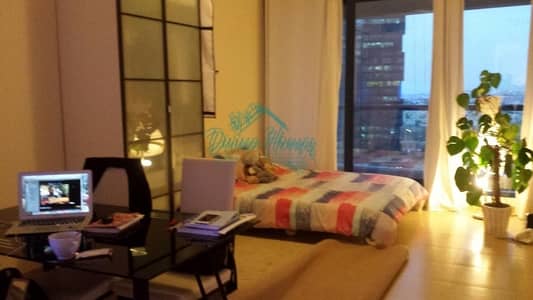 Spacious and Straight Layout with balcony and full lake view rented studio
