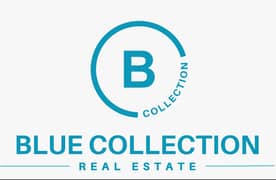 Blue Collection Real Estate