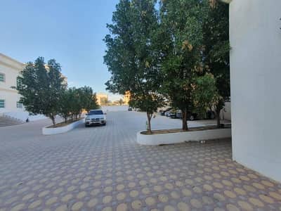 Out Class Proper Studio Apartment Available In MBZ City