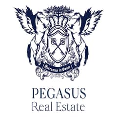 Pegasus Real Estate L. L. C.