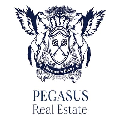 Pegasus Real Estate