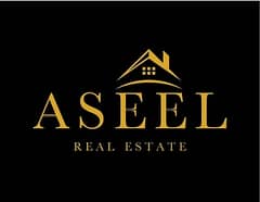 Aseel Real Estate
