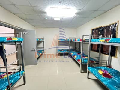 Labour Camp for Rent in Mussafah, Abu Dhabi - Clean rooms with furniture
