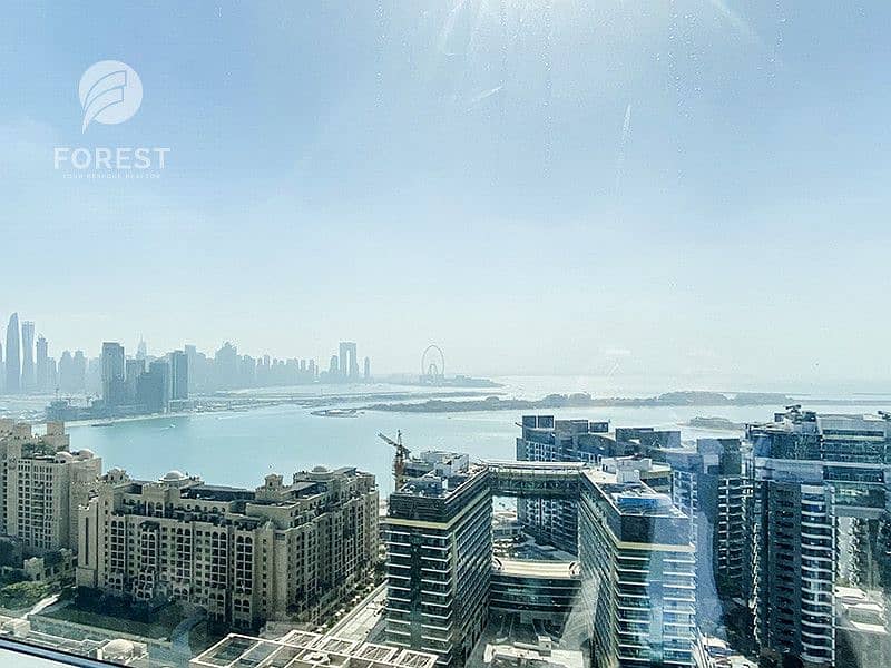 位于朱美拉棕榈岛，大洋住宅区，太平洋公寓 1 卧室的公寓 2490000 AED - 5850562