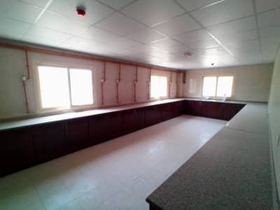 Labour Camp for Rent in Industrial Area, Sharjah - Brand New Premium 50 Rooms Labour Accomodation