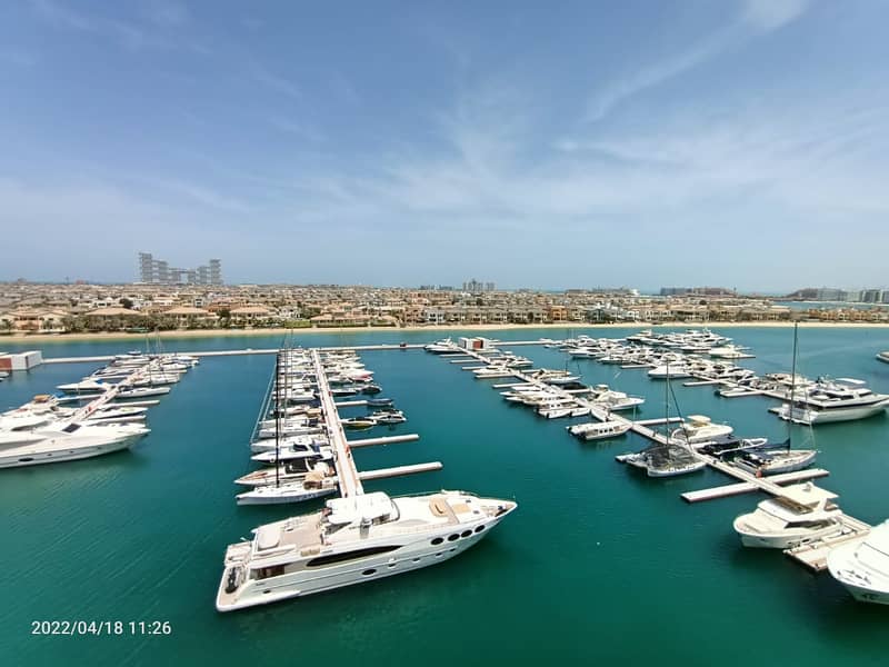 Stunning Marina View |Vacant | Spacious Apartment