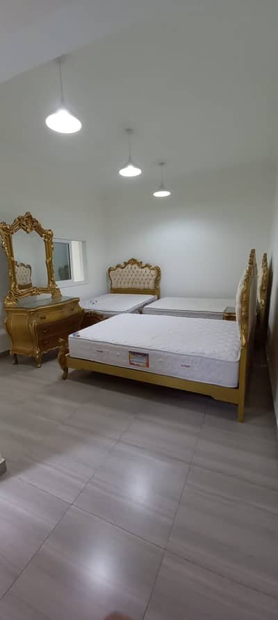 Super Luxury 1 BHK on Ground floor