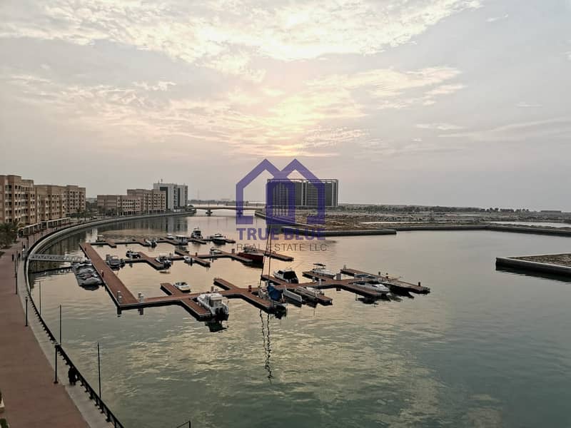 位于阿拉伯港，迪拜湾码头 1 卧室的公寓 475000 AED - 5924082