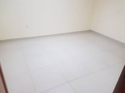 Stunning | 1 Bedroom+ Hall | Wardrobe| Near Pakistani School |