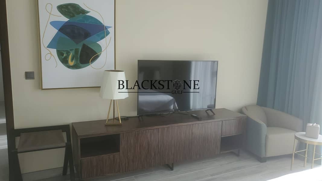 Fully Furnished 1Bedroom Apartment | Brand New | Spectacular View