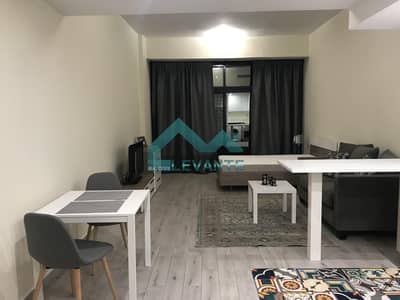 Spacious Fully Furnished Studio in Shamal Residence2