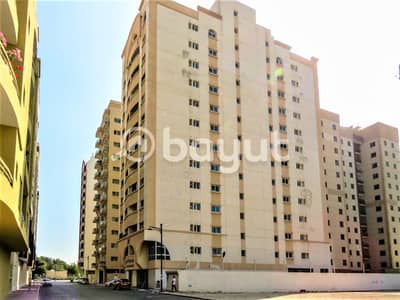 2 Bedroom Apartment for Rent in Al Nahda (Dubai), Dubai - Spacious 2 Bedrooms with 3 Bathrooms and 2 Balconies