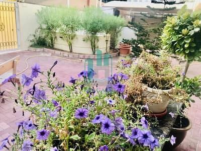 4 Bedroom Villa for Rent in Jumeirah, Dubai - Spacious and Bright  4 bedroom plus maid villa with beautiful garden and shared pool  in Jumeirah (al Bada)