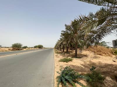 Plot for Sale in Al Alia, Ajman - For sale land in Al Aleya in a very special place