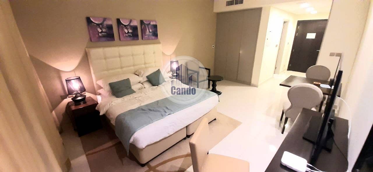 Fully Furnished & Luxurious Studio + Parking