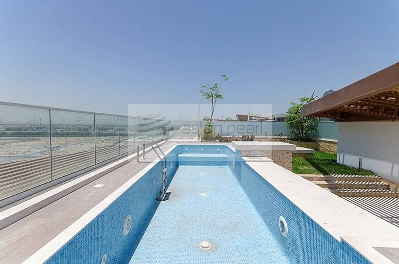 Private swimming pool and garden penthouse