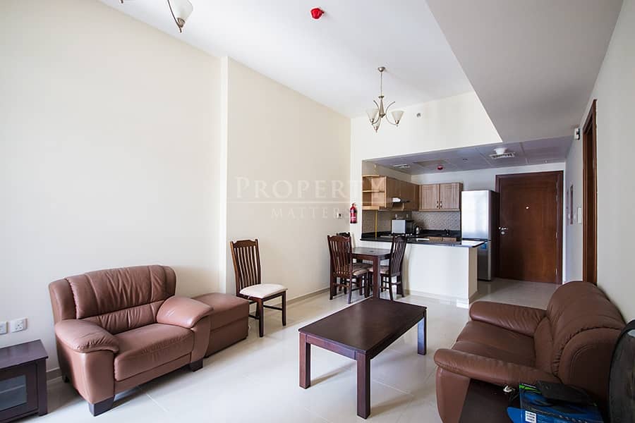 Well Maintained|Furnished 1BR