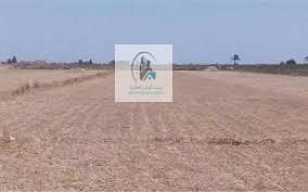 For sale residential land ready for construction