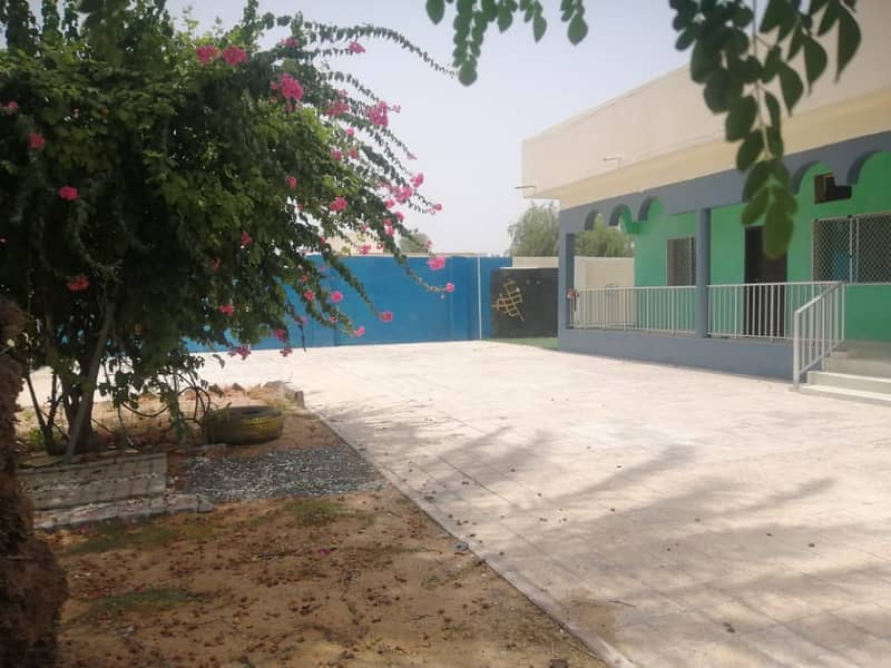 One storey big villa with wide yard for rent in Meshairef