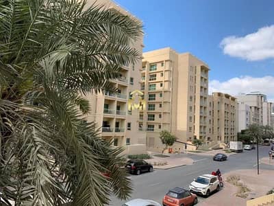 1 Bedroom Apartment for Rent in The Greens, Dubai - Beautiful 1 B/R - Spacious and Bright Apartment