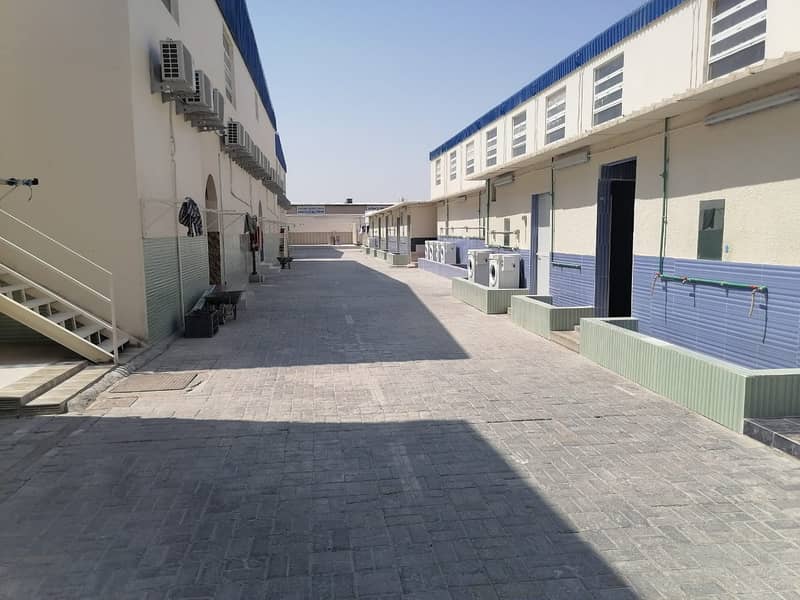 9 camp area