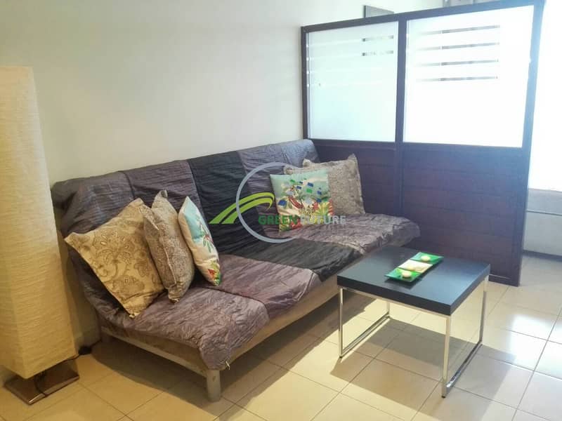 Spacious Magnificent Furnished Apartment
