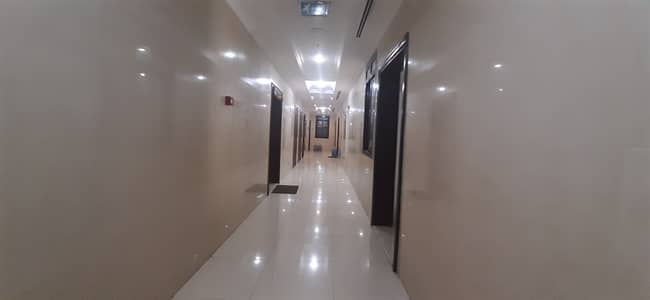 1 Bedroom Flat for Rent in Al Nahda (Dubai), Dubai - CLOSE TO POND PARK  [[WELL MAINTANED ]] GLORIOUS APARTMENT1BHK-2BATH WITH ALL FACILITIES IN ONLY 32K