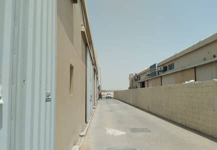 Warehouse for Rent in Al Jurf, Ajman - 5 W/H Brand New Warehouse|14500 SQR FT|125 KW High Power