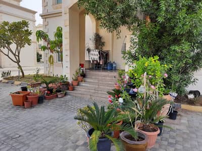 3 Bedroom Villa for Rent in Mohammed Bin Zayed City, Abu Dhabi - FULL GROUND FLOOR : 3BHK MAID ROOM AT MBZ CITY