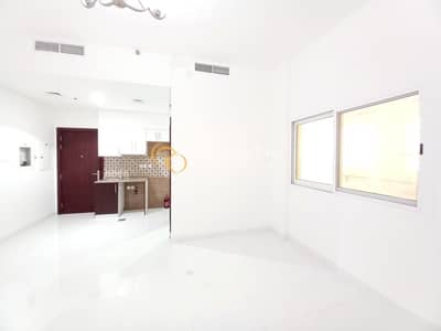 استوديو  للايجار في جميرا، دبي - شقة في جميرا 1 جميرا 35000 درهم - 6100287