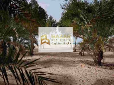 Mixed Use Land for Sale in Remah, Al Ain - Two farms in Ramah, Sadara area / rest house / Dates canning factory