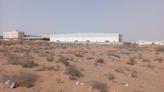 ارض صناعية  للبيع في منطقة الإمارات الصناعية الحديثة، أم القيوين - main land