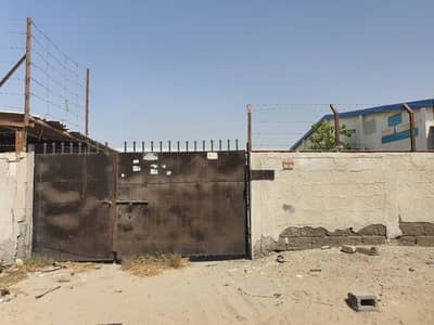 Industrial Land for Rent in Ajman Industrial, Ajman - 6500 Sq. ft Yard with Shed for Rent Near Darmix Roundabout