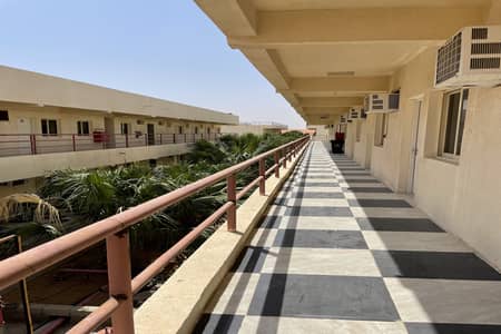Labour Camp for Rent in Al Ain Industrial Area, Al Ain - Quality Camp|100 Rooms|200 rooms|300 rooms