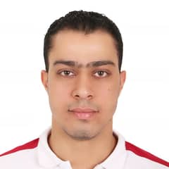 Kareem Metwally