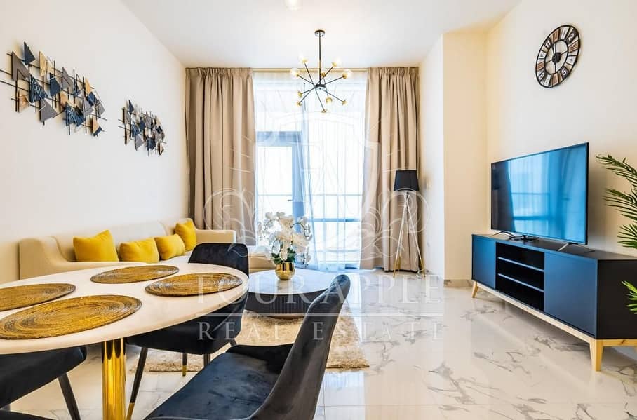 Fully Furnished | Elegant and Luxurious Apartment