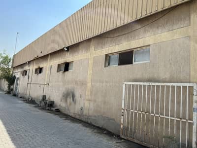 Factory for Rent in Al Jurf, Ajman - 29,000 SQFT WAREHOUSE AVAILABLE IN JURF INDUSTRIAL AREA 1
