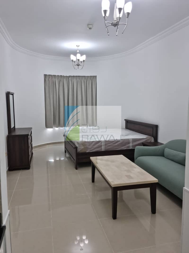1 PAYMENT ONLY | UPGRADED and FULLY FURNISHED STUDIO APRTMENT
