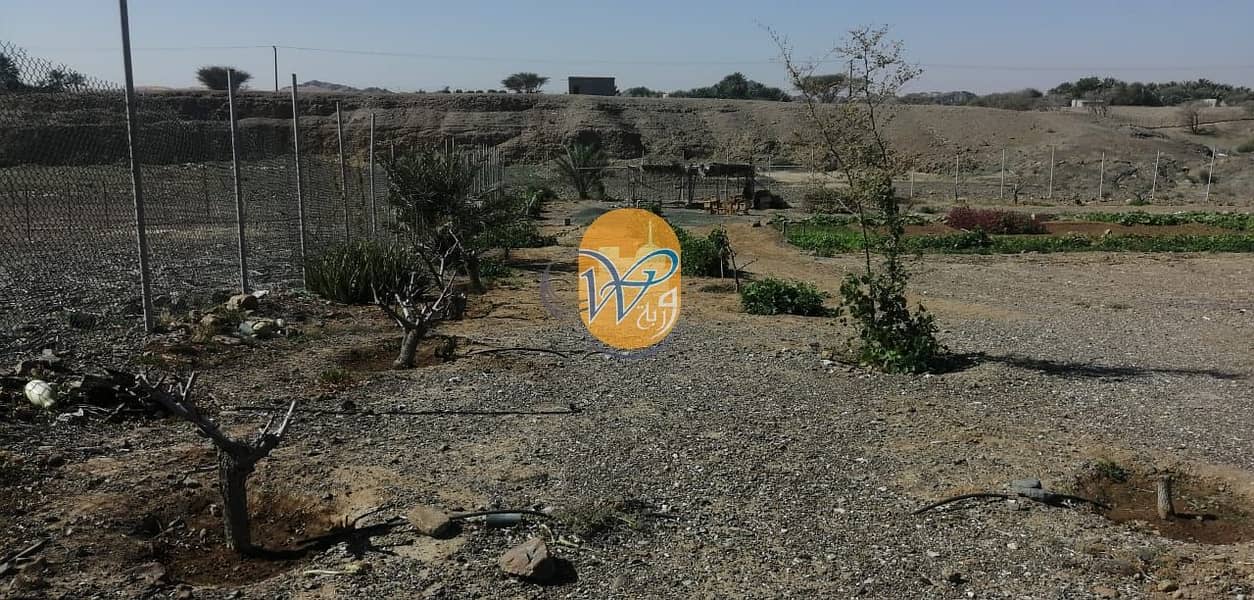For sale a farm in Al Ghayl area, owned with electricity and water