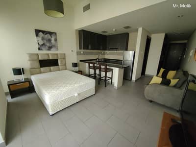 Spacious Studio - Furnished - Multiple Cheques