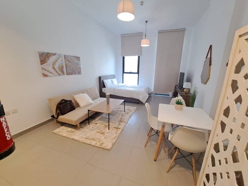 Spacious Brand New Fully Furnished Studio is Available