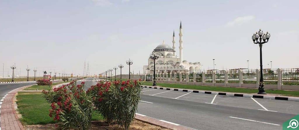 Residential land for sale in the Emirate of Sharjah, Tilal area