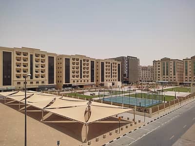 3 Bedroom Flat for Rent in Muwaileh, Sharjah - SPACIOUS 3-BHK APARTMENT // MUWALIAH PARK // ONE MONTH FREE // ONLY FAMILIES // READY TO MOVE IN
