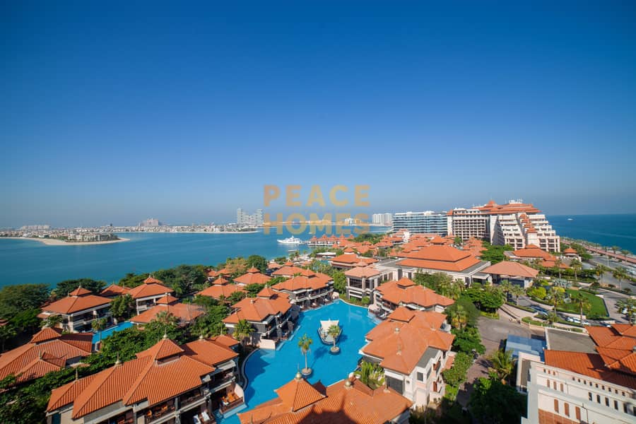 Elegant Interior with Stylish Exterior in palm Elegant Interior with Stylish Exterior in palm
